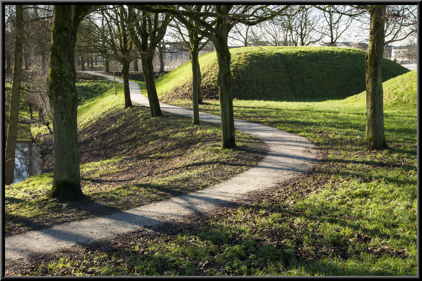 Januar 2016. Schon ein Bisschen Frühling.