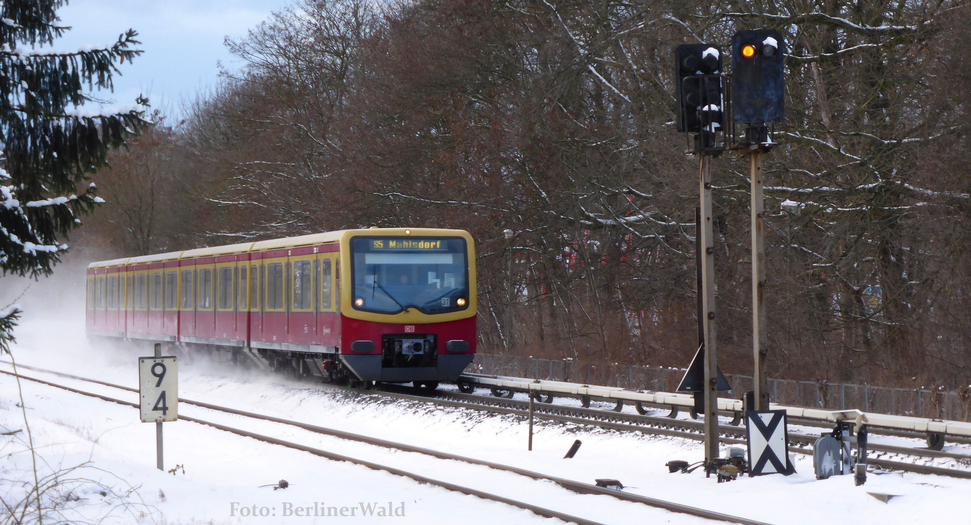 Januar 2017 / S- Bahn Berlin / zw. Biesdorf & Wuhletal