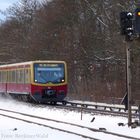 Januar 2017 / S- Bahn Berlin / zw. Biesdorf & Wuhletal
