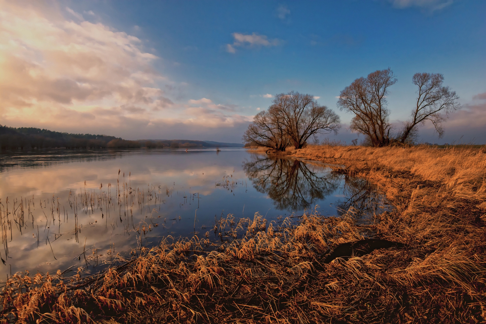 Januar 2018 an der Elbe 