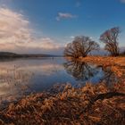 Januar 2018 an der Elbe 