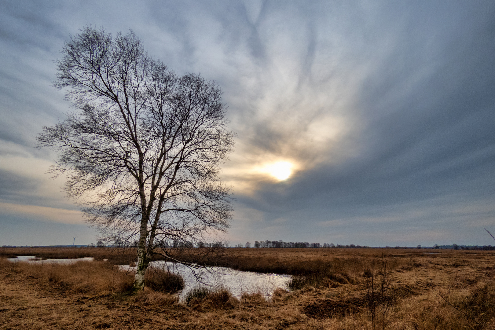 Januar 2020 am Ewigen Meer