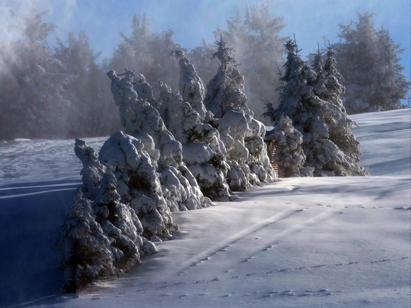 Januar 2020 im Nordschwarzwald