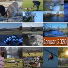 Januar 2020 Rückblick