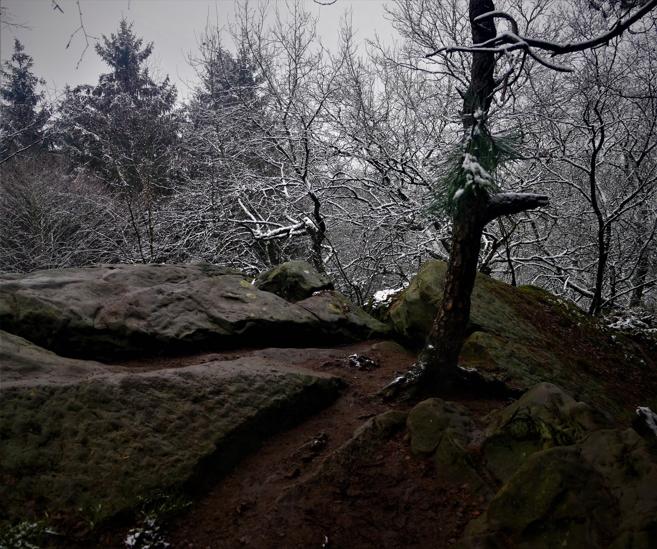 Januar 2021 - Etwas Schnee auf dem Königstein bei Brochterbeck im Münsterland