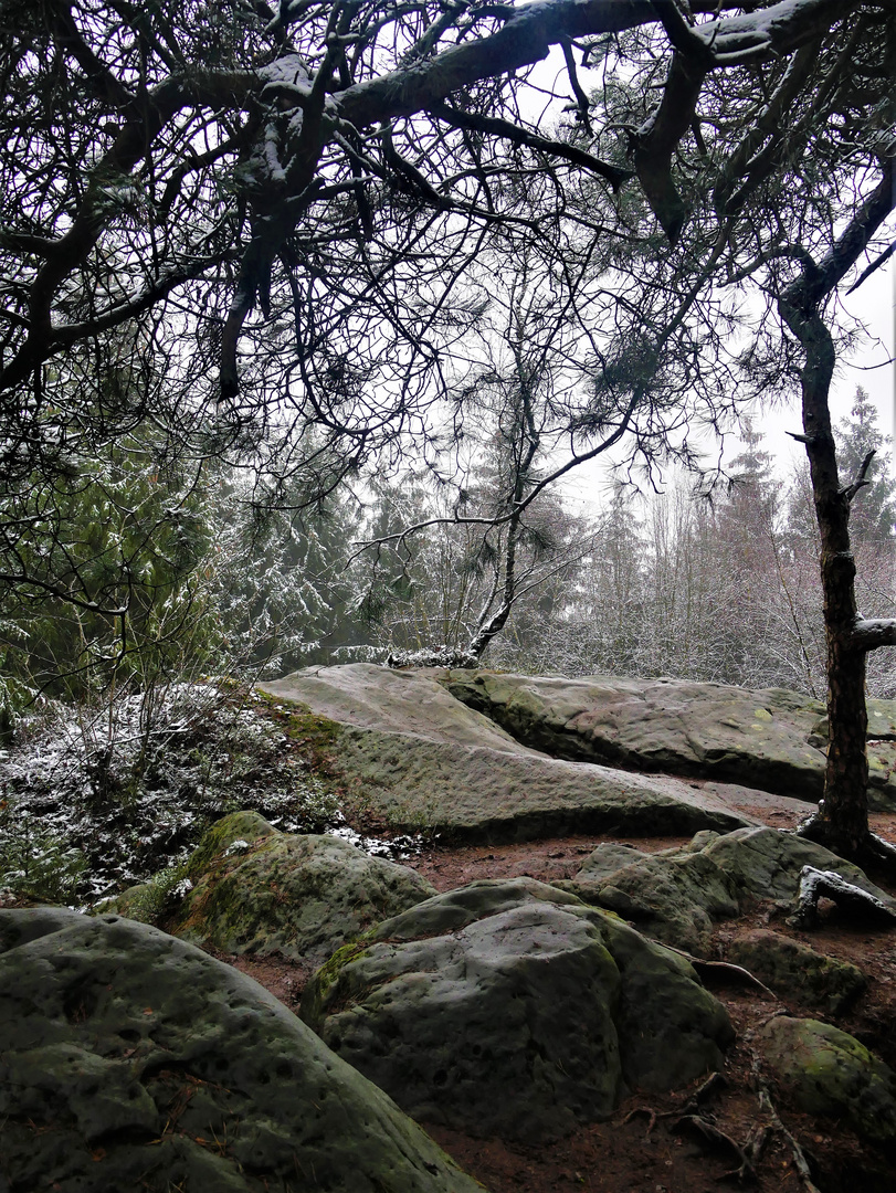 Januar 2021 - Etwas Schnee auf dem Königstein bei Brochterbeck im Münsterland (Hochformat)