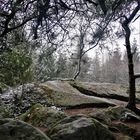 Januar 2021 - Etwas Schnee auf dem Königstein bei Brochterbeck im Münsterland (Hochformat)