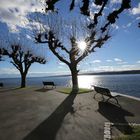 Januar am Bodensee