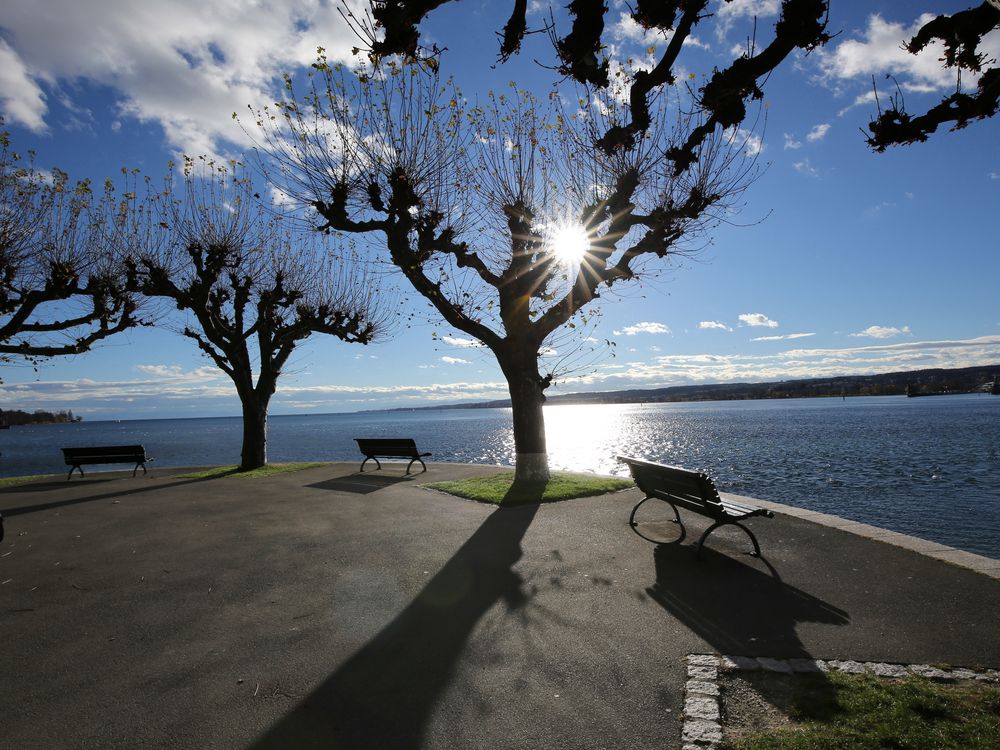 Januar am Bodensee