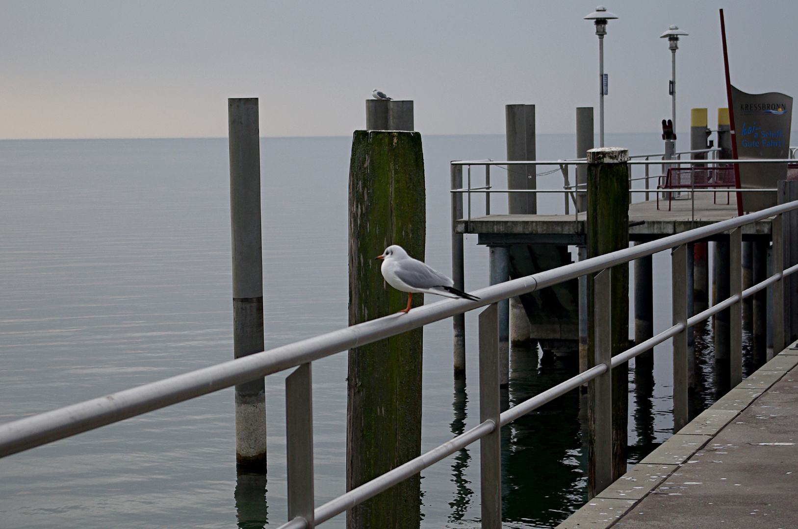 ..Januar am Bodensee