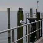 ..Januar am Bodensee