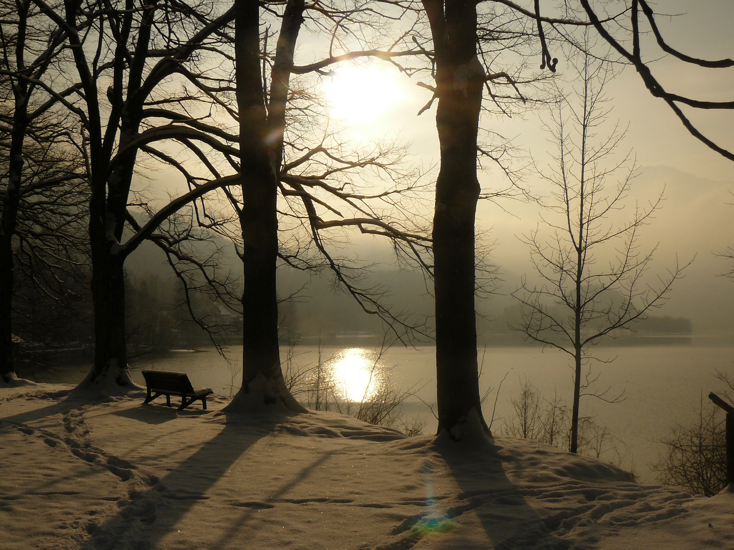 Januar am Kochelsee