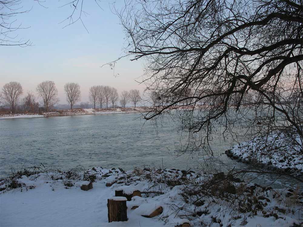 Januar am Rhein