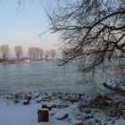 Januar am Rhein