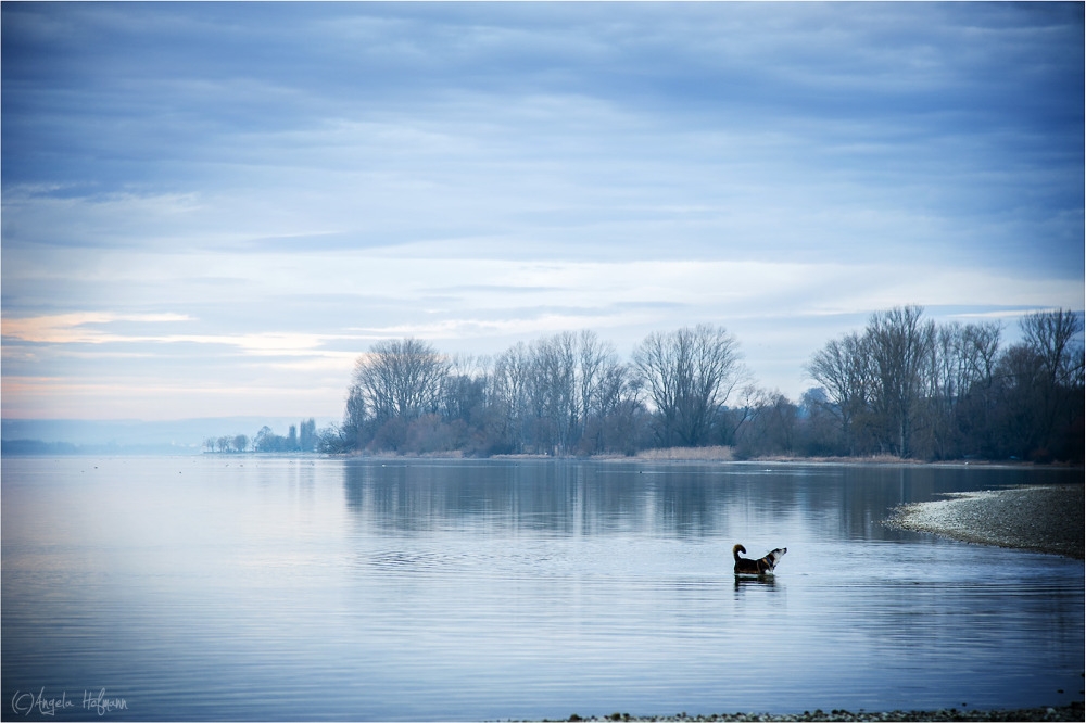 Januar am See