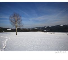 * Januar- blick...*