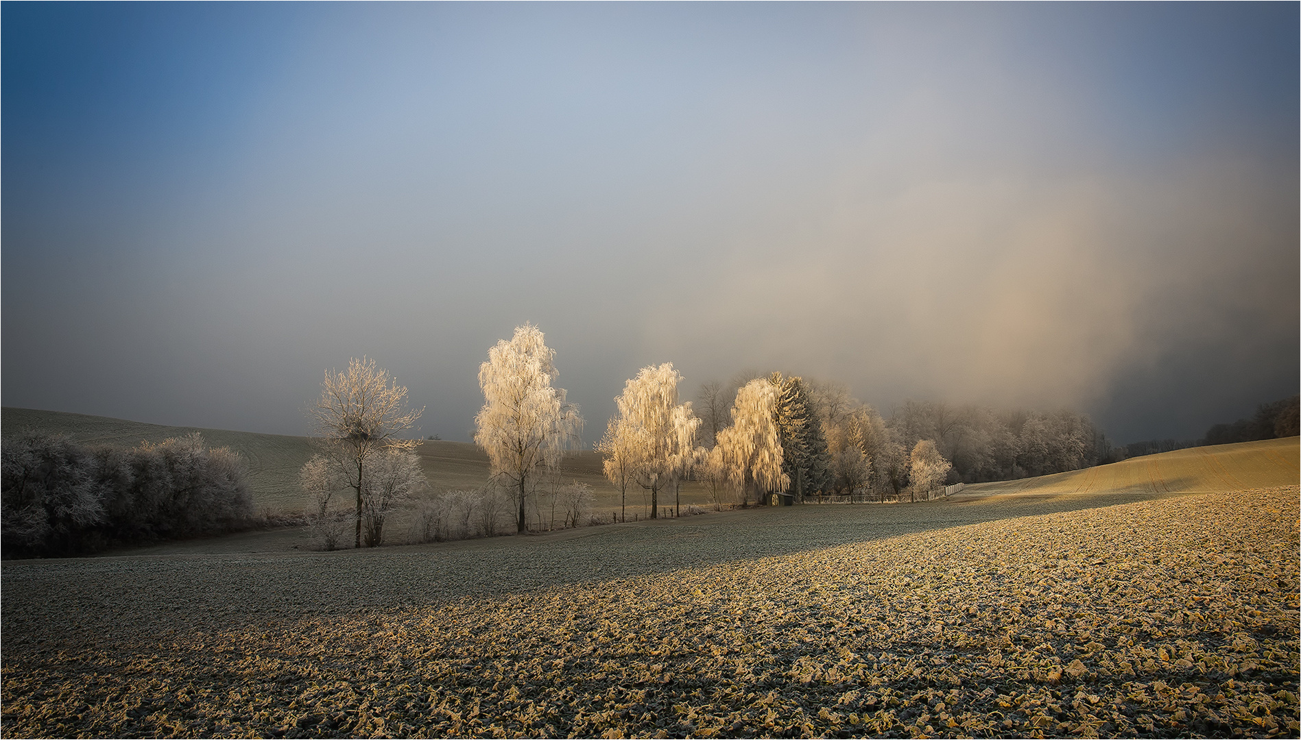 Januar-Farben