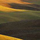 Januar-Farben in der Toscana