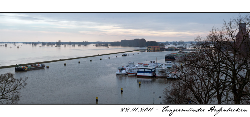 Januar-Hochwasser der Elbe - 2011 (2)