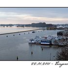 Januar-Hochwasser der Elbe - 2011 (2)