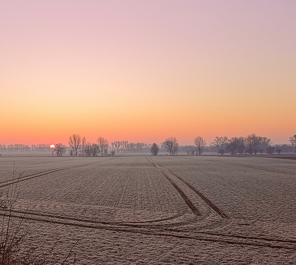 Januar im Oderbruch