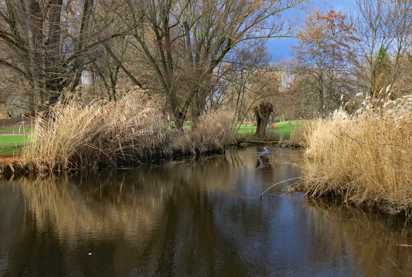 Januar im Park