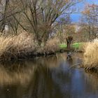 Januar im Park