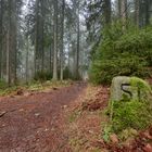 Januar im Schwarzwald