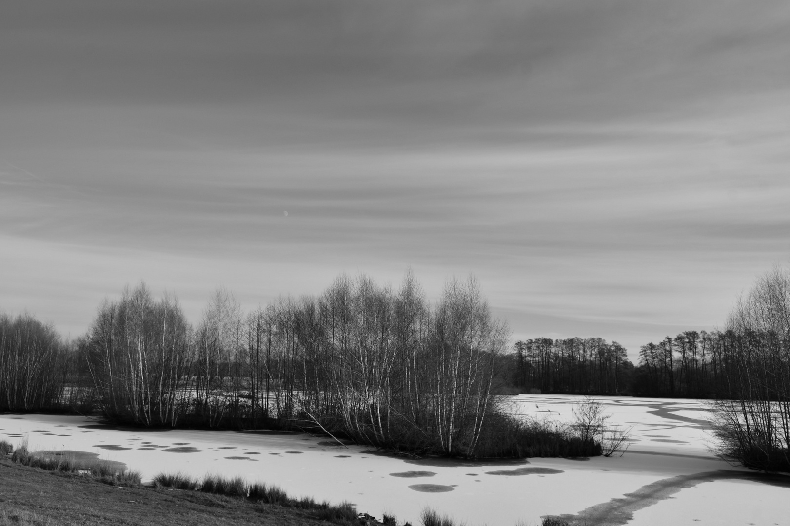 Januar Im Steinhorster Becken