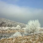 "Januar" im WESERBERGLAND-KALENDER 2012 sowie preisgekröntes Foto "Biosphäre Fotowettbewerb 2012"