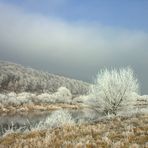 "Januar" im WESERBERGLAND-KALENDER 2012 sowie preisgekröntes Foto "Biosphäre Fotowettbewerb 2012"