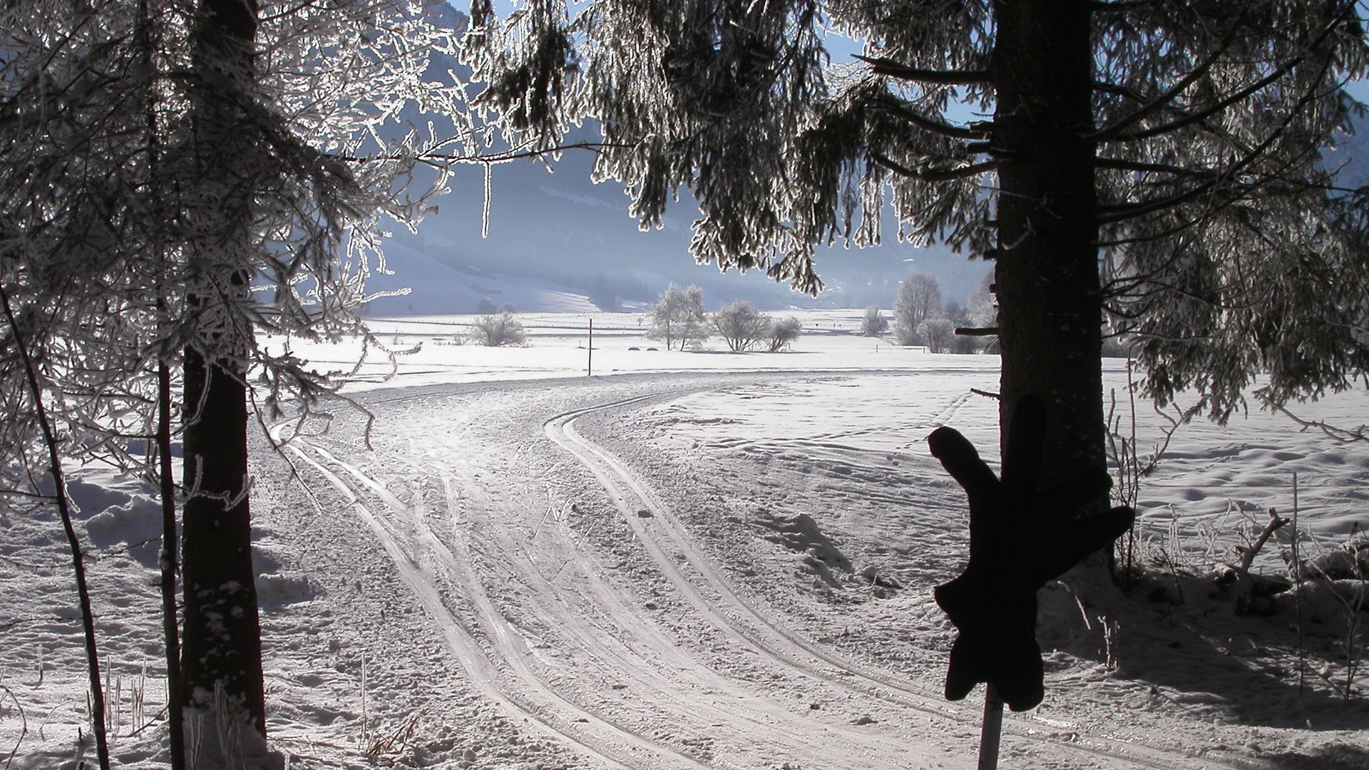 Januar in Oberstdorf