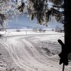 Januar in Oberstdorf