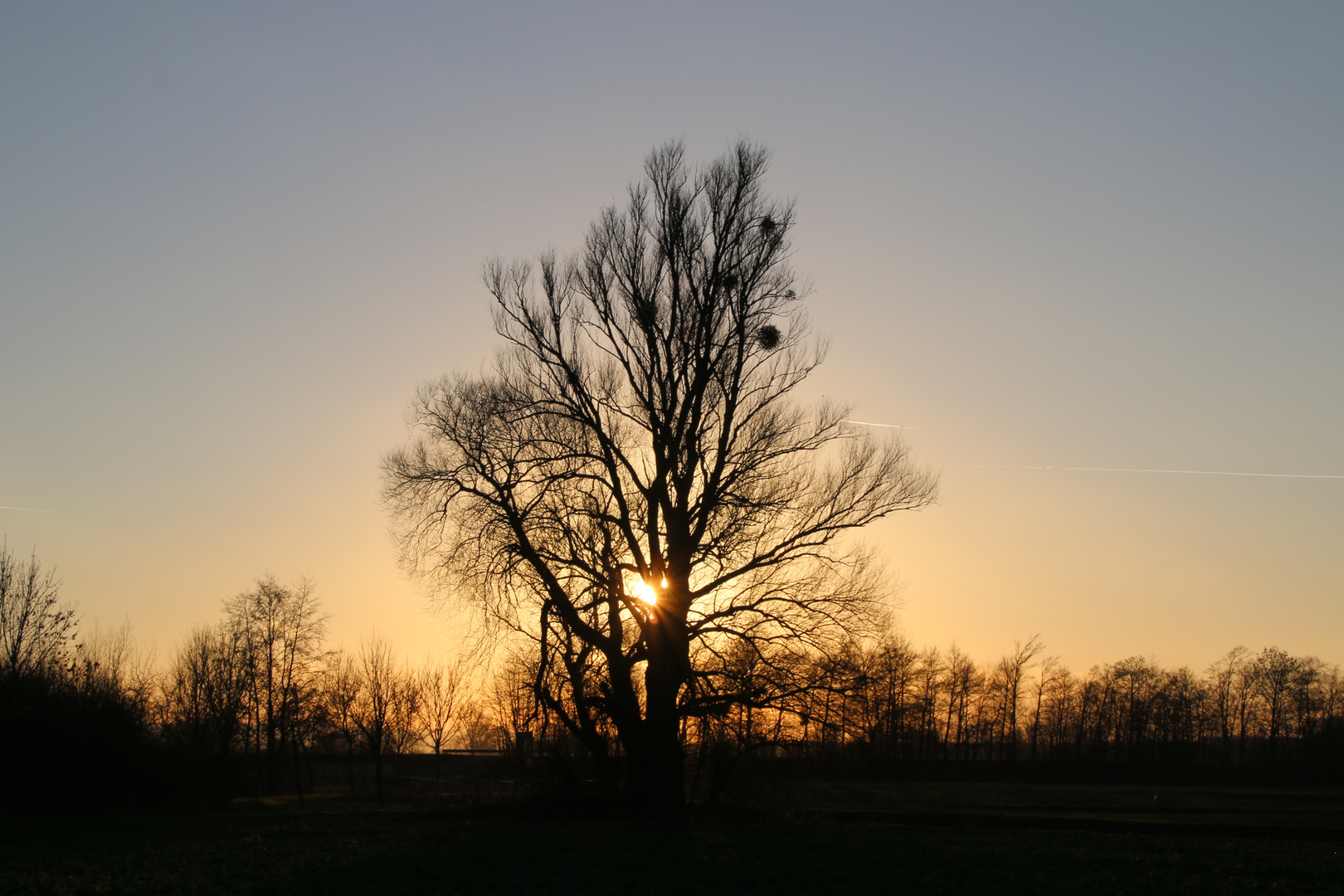 Januar in Schaumburg