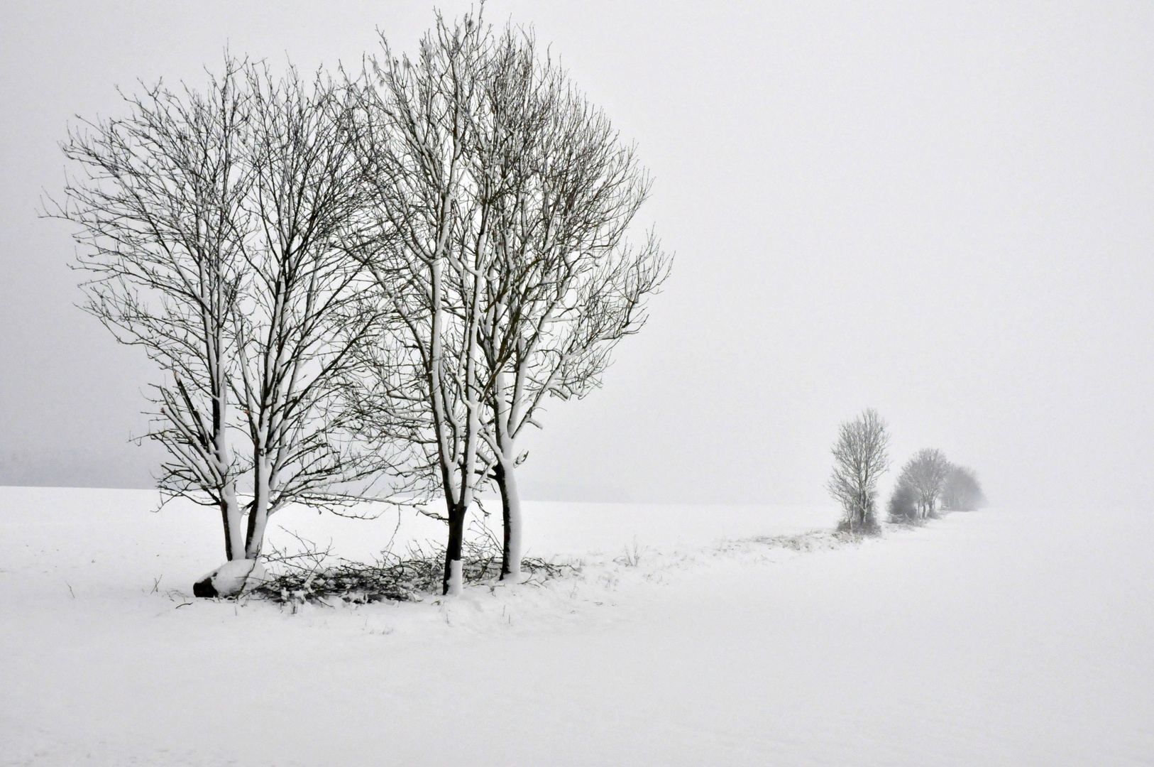 Januar in Vorpommern