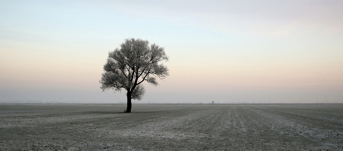 Januar-Morgen