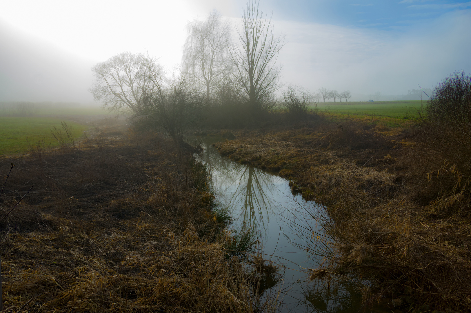 Januar-Nebel