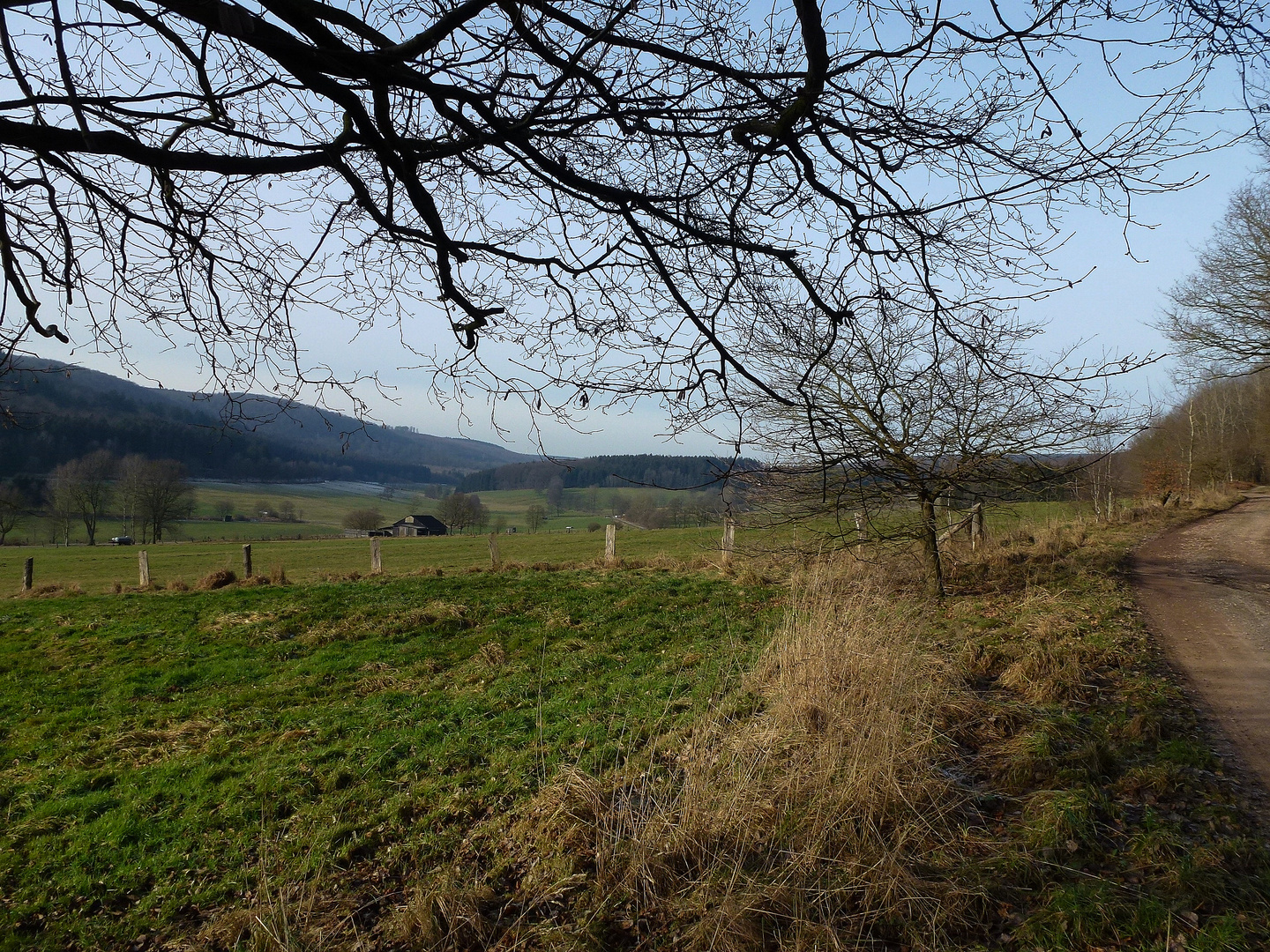 -Januar ohne Schnee im Solling-