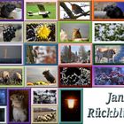 Januar Rückblick 2019