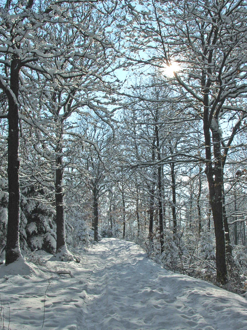 Januar Spaziergang