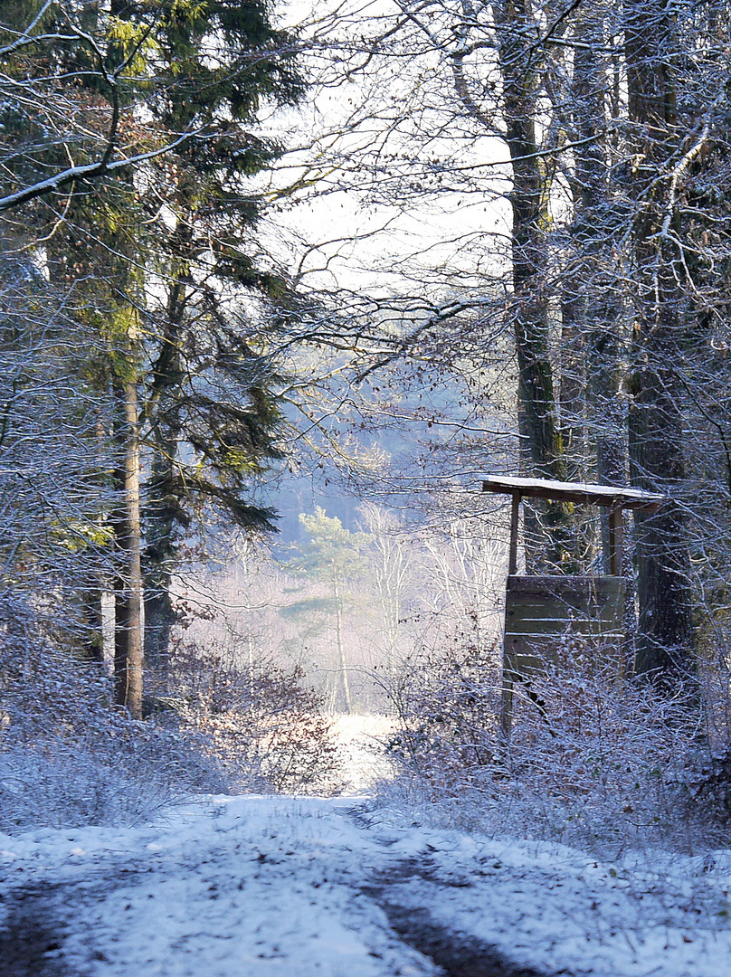 Januar-Spaziergang