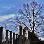 Januar Tage zur blauen Stunde im Rosensteinpark