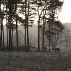 Januar-Wanderung - ( II.)