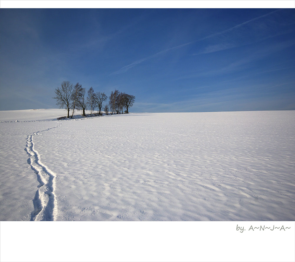 * Januar- Winter... *