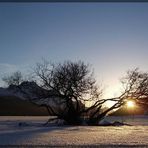 Januarabend am Silvaplanersee