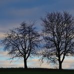 Januarabend, january evening, tarde en enero