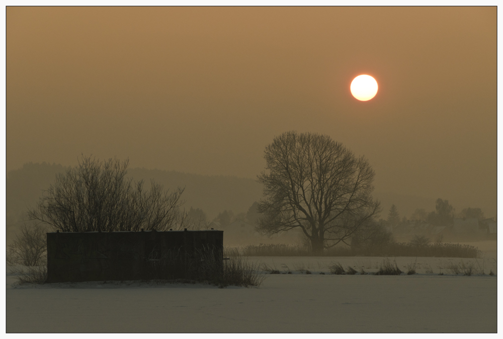 Januarbild mit Sonne