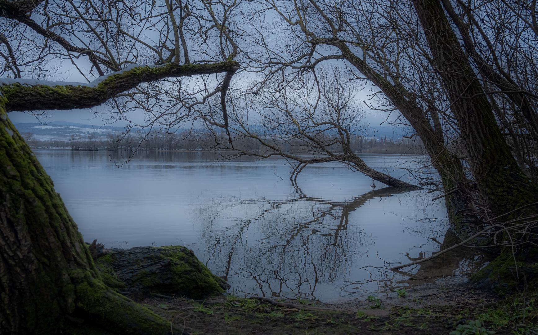 Januarblues mit Durchblick