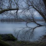 Januarblues mit Durchblick