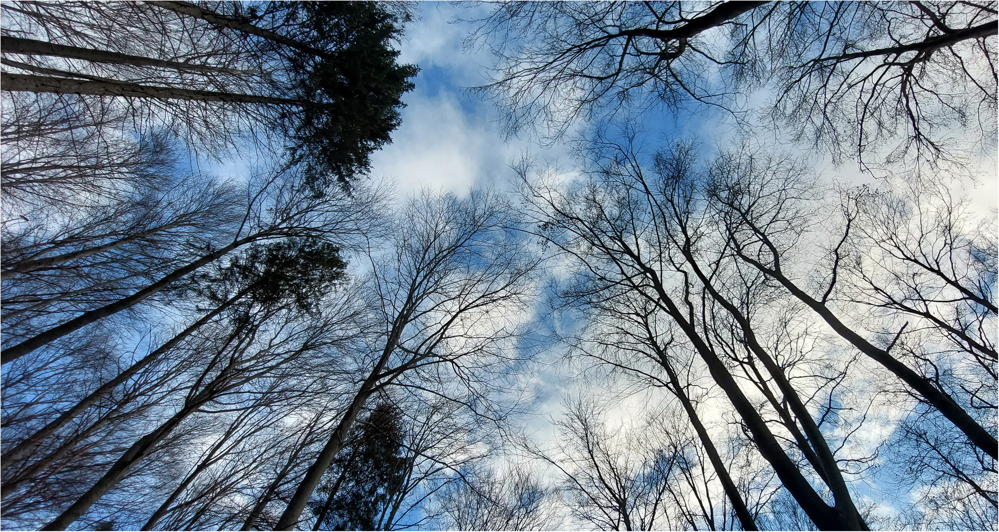 Januarhimmel